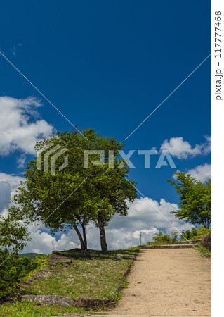 日本　岐阜県中津川市にある苗木城 117777468