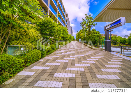 日本の横浜都市景観 8月。SOTETSU　南万騎が原駅などを望む 117777554