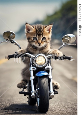 バイクに乗る猫 117777894