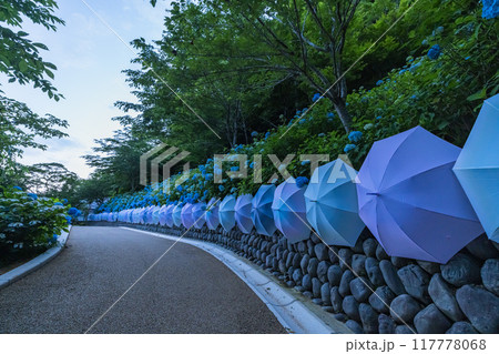 日本 静岡県袋井市、遠州三山の一つ法多山尊永寺の紫陽花と飾り付けられた傘 日本 静岡県袋井市、遠州三山の一つ法多山尊永寺の紫陽花と飾り付けられた傘 117778068