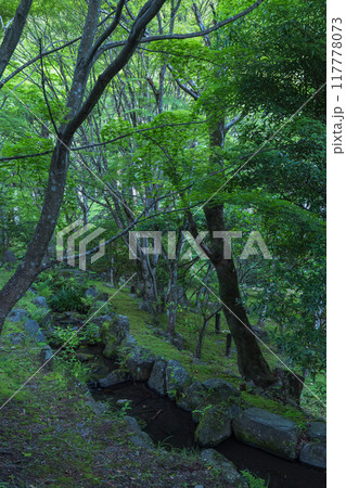 日本　静岡県袋井市、遠州三山の一つ法多山尊永寺の境内の風景 117778073