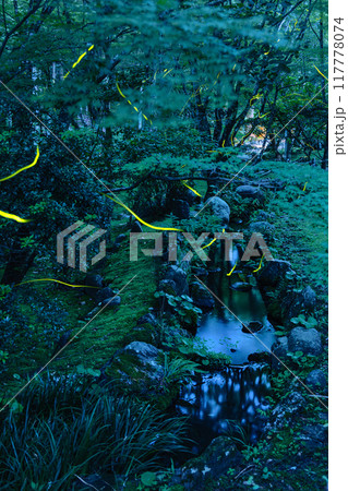 日本　静岡県袋井市、遠州三山の一つ法多山尊永寺　夜になって舞うゲンジボタル 117778074