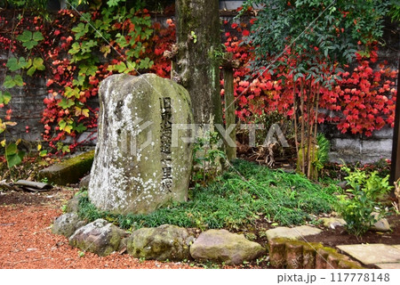 富士市　旧東海道本市場一里塚 117778148