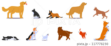 Dog Breeds Obeying Different Training Commands. Cartoon Pets Performing Actions Such As Sitting, Lying Down, Staying 117778230