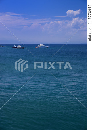 夏の小網代湾・シーボニア 117778942