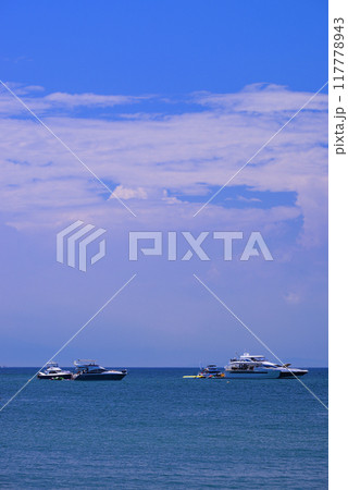 夏の小網代湾・シーボニア 117778943