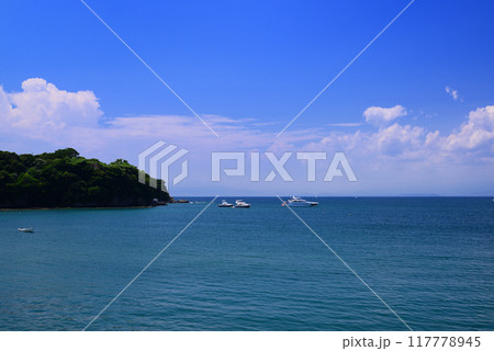 夏の小網代湾・シーボニア 117778945