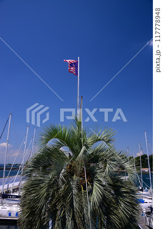 夏の小網代湾・シーボニア 117778948