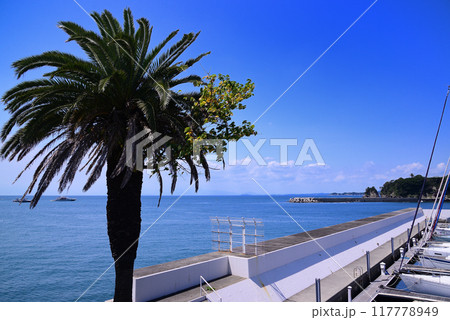 夏の小網代湾・シーボニア 117778949