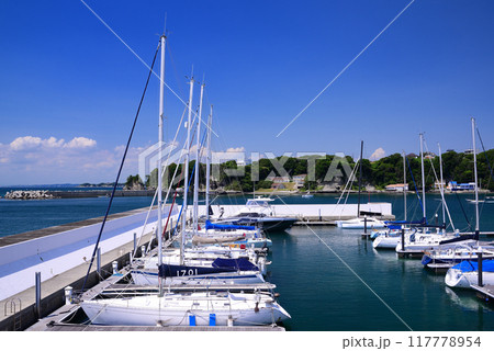 夏の小網代湾・シーボニア 夏の小網代湾・シーボニア 117778954