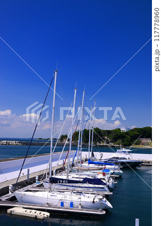 夏の小網代湾・シーボニア 117778960