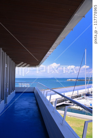 夏の小網代湾・シーボニア 117778965