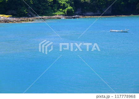 夏の小網代湾・シーボニア 夏の小網代湾・シーボニア 117778968
