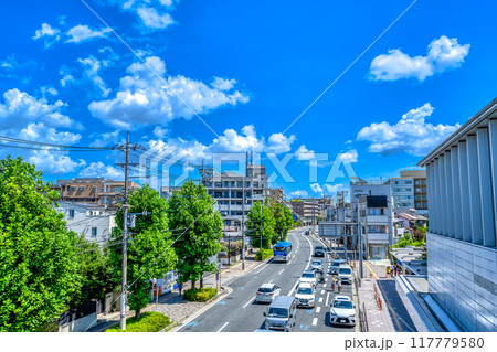 神奈川県川崎市の都市風景　登戸駅　多摩沿線道路 117779580