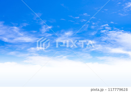 青空と白い雲 117779628