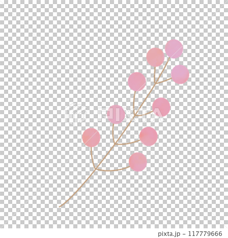 赤い実 赤い実 117779666