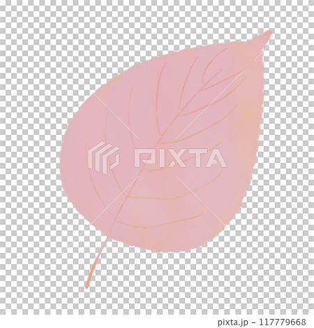 落ち葉イラスト 落ち葉イラスト 117779668