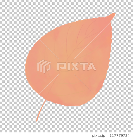 Illustration of autumn leaves 117779724