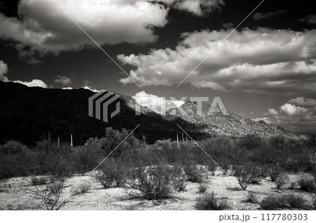 San Tan Mountains Sonora Desert Arizona 117780303