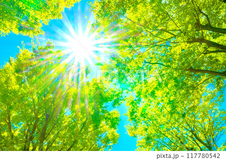 日本の横浜都市景観 猛烈な暑さ、青空…太陽光が差し込む。希望の光…明日へ、輝き、紫外線など…=20日 日本の横浜都市景観 猛烈な暑さ、青空…太陽光が差し込む。希望の光…明日へ、輝き、紫外線など…=20日 117780542