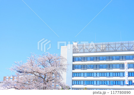 愛知県瀬戸市、瀬戸川沿いの桜と瀬戸市役所の風景 117780890