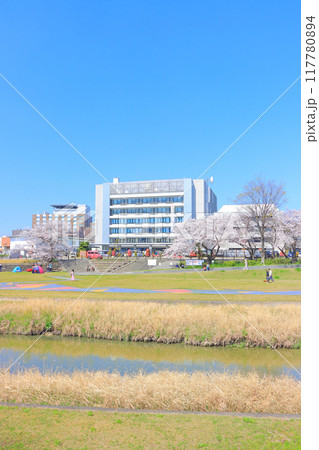 愛知県瀬戸市、瀬戸川沿いの桜と瀬戸市役所の風景 117780894