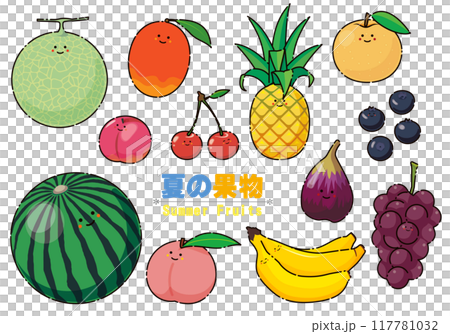 夏の果物のイラストセット 117781032