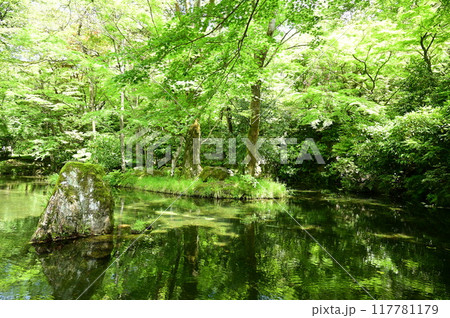 岐阜城公園の新緑の光景 岐阜城公園の新緑の光景 117781179