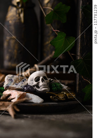 Halloween spooky decoration with skull 117781239