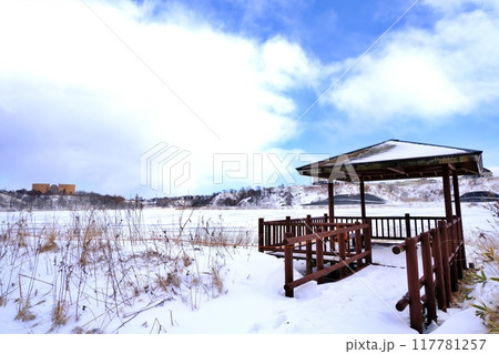 冬の春採湖 (北海道釧路市) 冬の春採湖 (北海道釧路市) 117781257