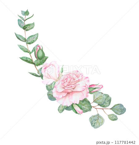 Light pink rose and eucalyptus. Watercolor botanical illustration. Hand drawn clipart, cut out and isolated. Realistic flower frame for delicate wedding prints, cards. Romantic design element. 117781442