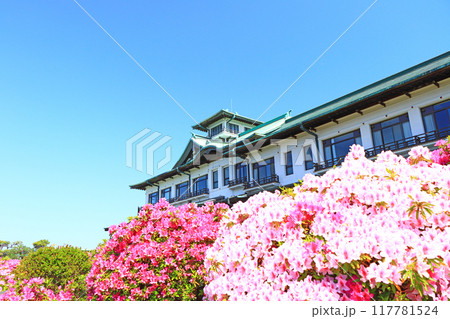 愛知県蒲郡市、満開のつつじと蒲郡クラシックホテルの風景 愛知県蒲郡市、満開のつつじと蒲郡クラシックホテルの風景 117781524