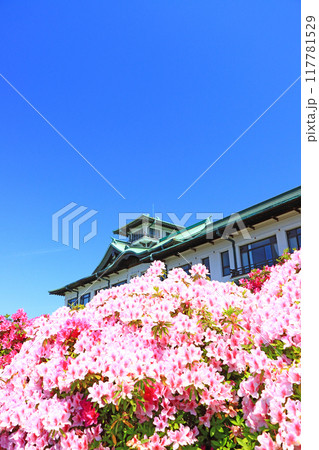 愛知県蒲郡市、満開のつつじと蒲郡クラシックホテルの風景 117781529