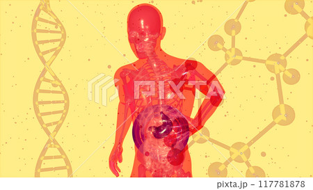 Abstract motion design of the stomach 117781878