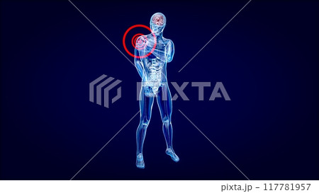 4K anatomy concept of a shoulder pain 4K anatomy concept of a shoulder pain 117781957