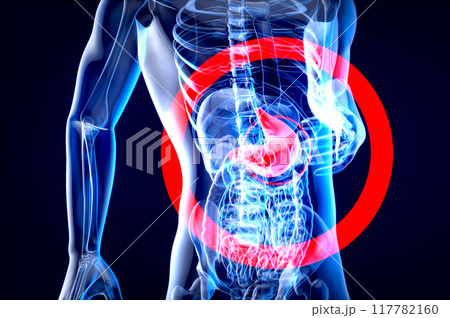 Abstract anatomy design of the stomach 117782160