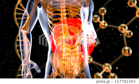 Abstract motion design of the stomach 117782163