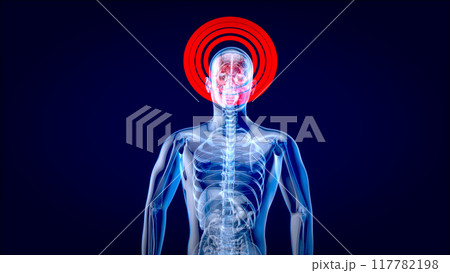 3D Anatomy concept of a Xray man 117782198