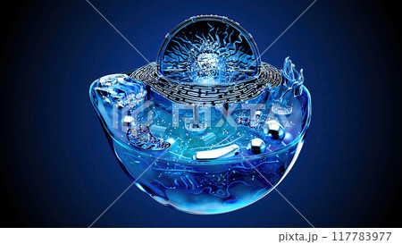 Abstract illustration of the biological cell Abstract illustration of the biological cell 117783977