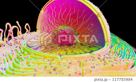 Abstract illustration of the biological cell Abstract illustration of the biological cell 117783984