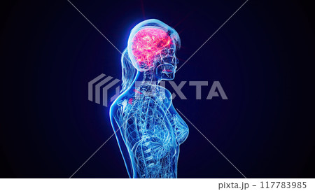 Abstract woman walking with the brain highlighted Abstract woman walking with the brain highlighted 117783985
