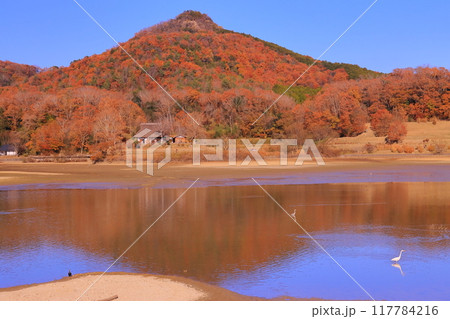 兵庫県立有馬富士公園（兵庫県三田市）福島大池と紅葉 117784216