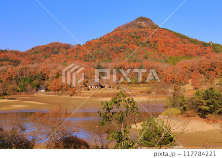 兵庫県立有馬富士公園(兵庫県三田市)福島大池と紅葉 兵庫県立有馬富士公園(兵庫県三田市)福島大池と紅葉 117784221
