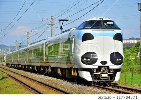287系パンダくろしお③ 117784371
