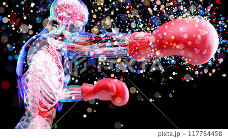 Abstract 3D anatomy of a man boxing 117784458