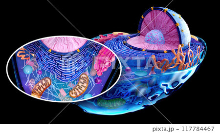 4K abstract illustration of the biological cell...のイラスト素材 [117784467 ...