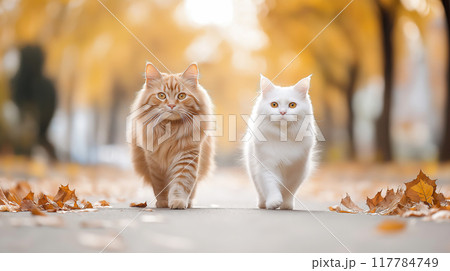 A beautiful red cat and a white fluffy cat walk together in the autumn park. AI-generated item A beautiful red cat and a white fluffy cat walk together in the autumn park. AI-generated item 117784749