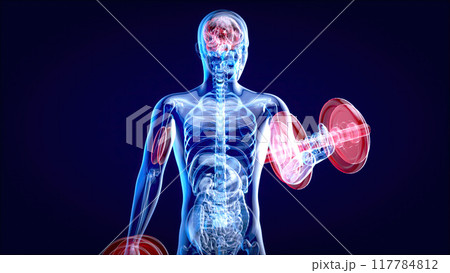 Abstract illustration of a man with weights Abstract illustration of a man with weights 117784812