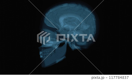 Abstract art of a skull motion design 117784837