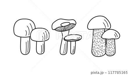 Set of mushroom icons vector. Illustration of boletus, chanterelles, honey mushrooms, champignons, aspen mushroom and russula. Set of mushroom icons vector. Illustration of boletus, chanterelles, honey mushrooms, champignons, aspen mushroom and russula. 117785165